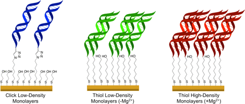 DNA-Modified Electrodes Fabricated Using Copper-Free Click Chemistry for Enhanced Protein Detection
