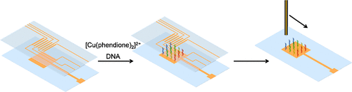 Electrochemical Patterning and Detection of DNA Arrays on a Two-Electrode Platform