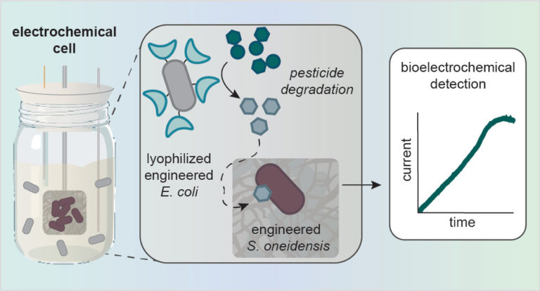 A Microbial Electrochemical Technology to Detect and Degrade ...