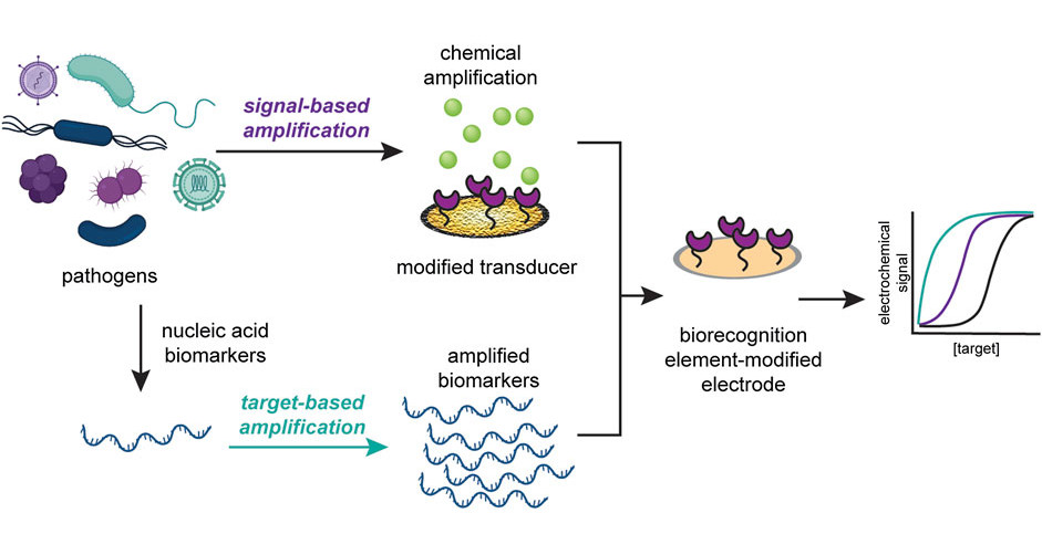Recent Advances in Signal Amplification to Improve Electrochemical Biosensing for Infectious Diseases
