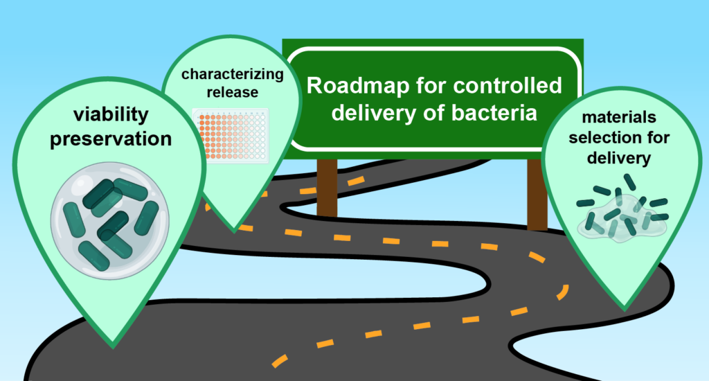 Novel delivery systems for controlled release of bacterial therapeutics