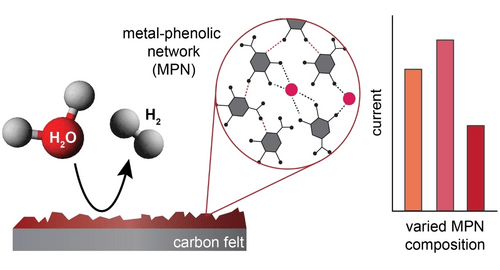 Electrocatalytic Properties of Electrochemically-Polymerized Metal-Phenolic Networks