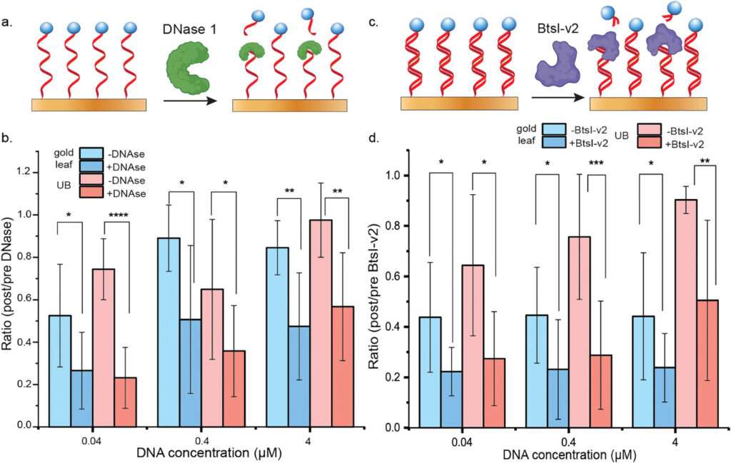 Complementary Cost-Effective Electrochemical Platforms for Point-Of-Use Biosensing