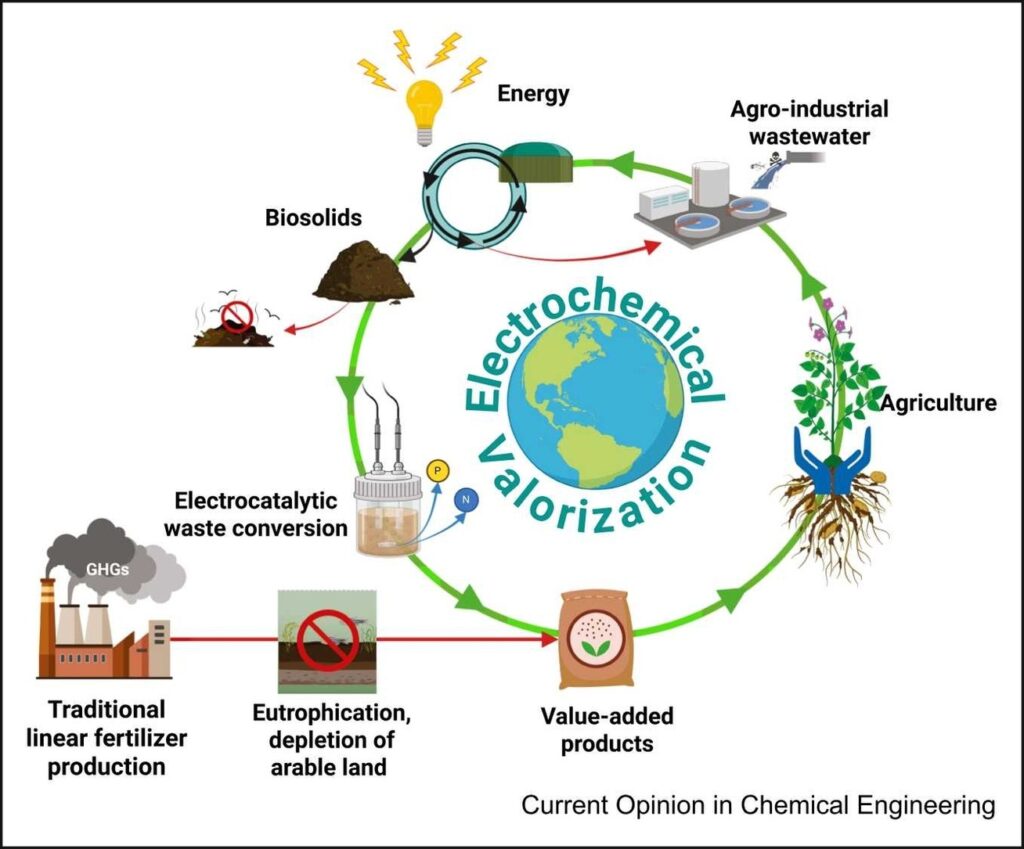 Electrochemical organic waste conversion: a route toward food security and a circular economy